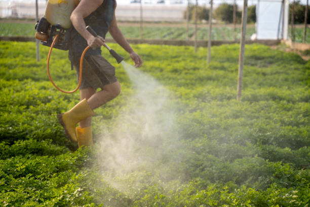Best Affordable Exterminators  in Westminster, MD