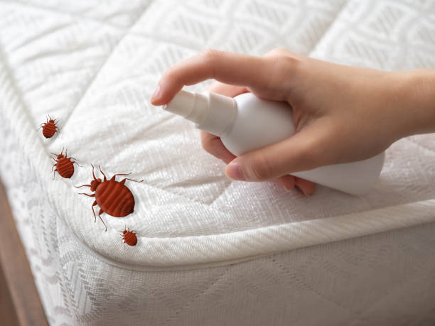 Best Pest Control for Homes  in Westminster, MD