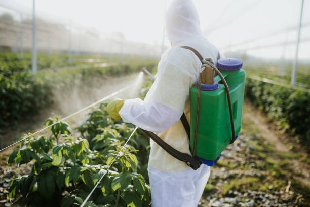 Best Termite Control Services  in Westminster, MD